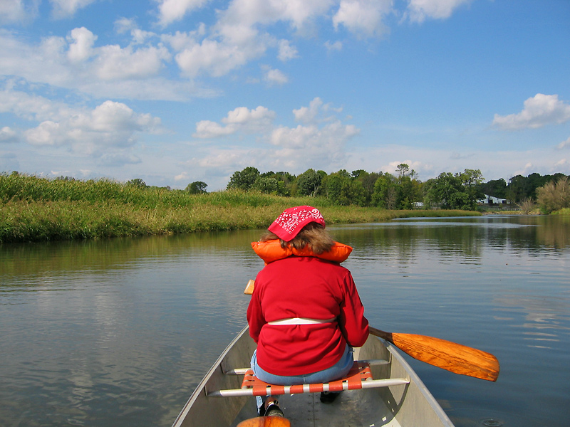 The Fox River canoe trip flows through mostly marshy areas, but also 